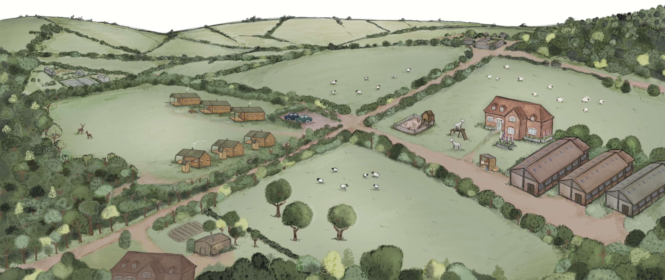 Foxglove farm final illustration